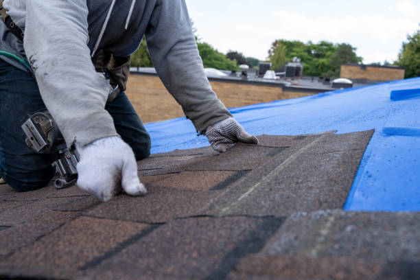 Best Shingle Roofing Installation  in Ontonagon, MI