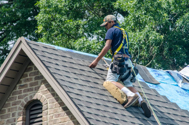 Best Metal Roofing Contractor  in Ontonagon, MI